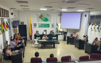 Facultades al Gobernador para comprometer vigencias futuras para la construcción del puente vehicular de la avenida La Gloria